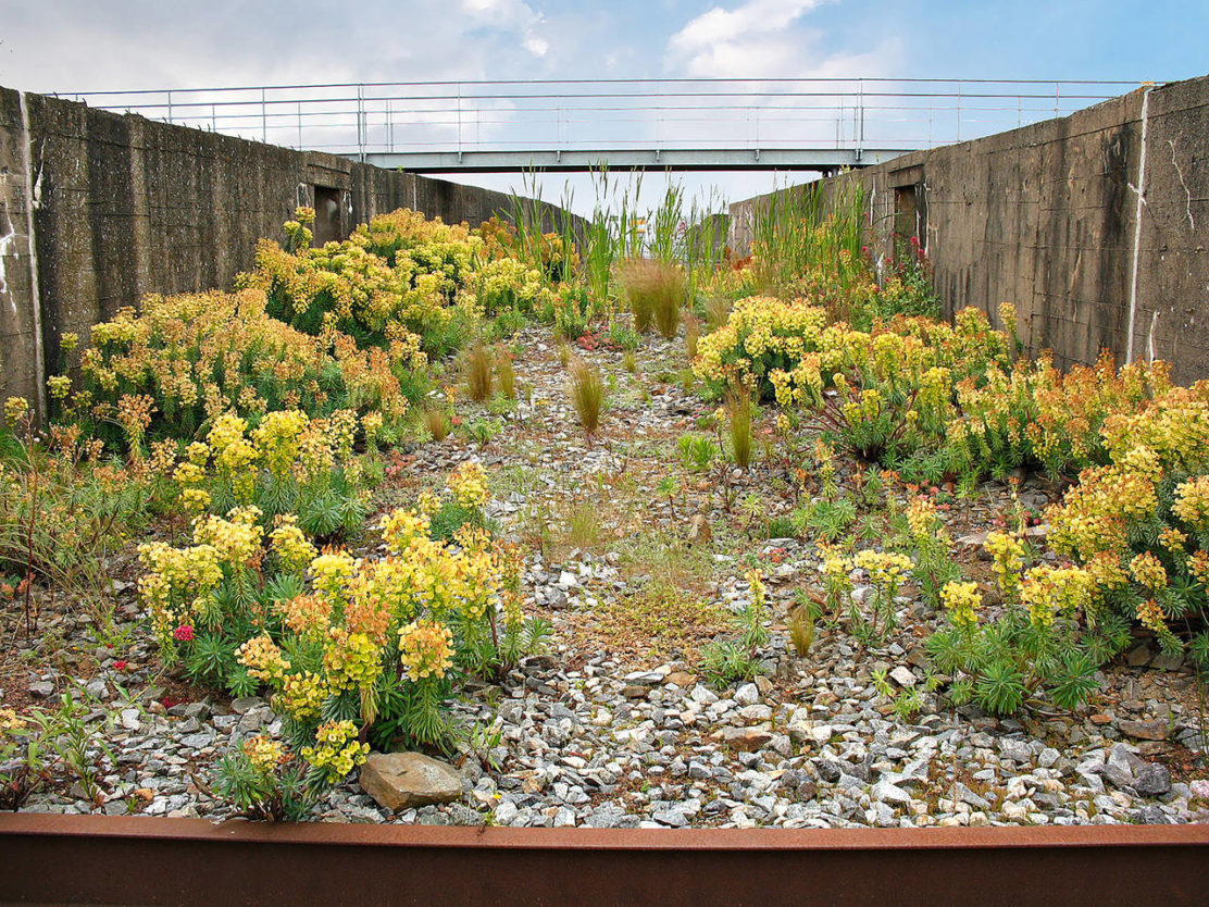 Jardin-G-Clément_St-Nazaire_156-1112x834